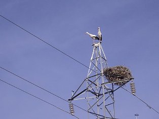 Линейная арматура воздушных линий электропередачи